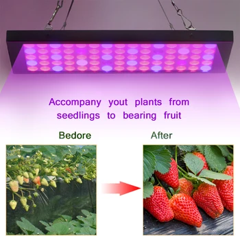 El LED crece la Luz Carpa Jardín Interior de los cultivos Hidropónicos de la Lámpara de 50W todo el Espectro Rojo+Azul+UV fito lámparas Para las Plantas de Cultivo, cuadro de