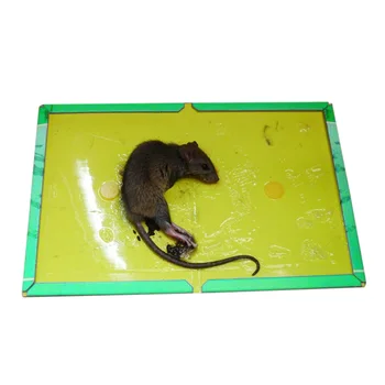 Ratón Rata Ratones Trampas Pegajosas de la Junta de Cazador de Pegamento Catcher No tóxico Para la Cocina de Casa #3