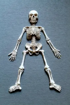 Halloween Esqueleto del Cuerpo Fondant Molde de Silicona DIY Decoración de Pastel hecho a Mano de Arcilla de la Resina de la Torta de las Herramientas de Moldes