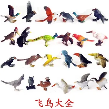 Pequeña pvc figura modelo animal de aves de juguete de simulación 24pcs/set