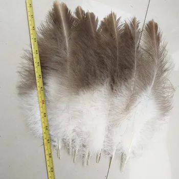 10 piezas / lote de belleza natural hawk plumas de 25-30 cm de 10-12 pulgadas de hermosas plumas